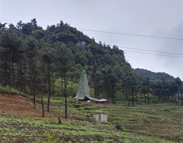 把脈“黔”鋅地，問診開良方