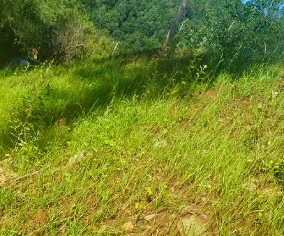 柳關(guān)欒盧鉛鋅礦|治理排土“瘡疤”，繪就綠色畫(huà)卷